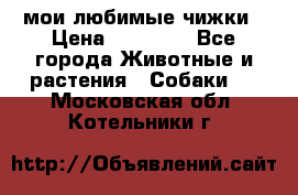 мои любимые чижки › Цена ­ 15 000 - Все города Животные и растения » Собаки   . Московская обл.,Котельники г.